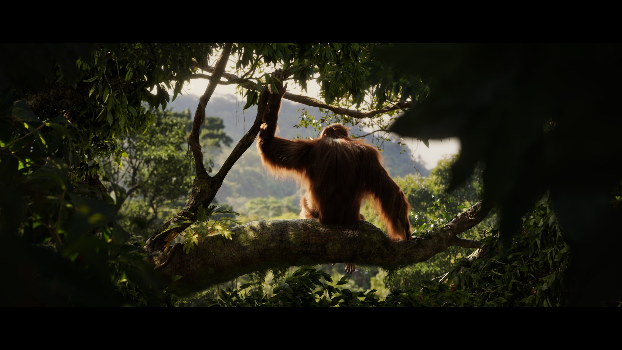 来自VES学生奖获奖影片的一个镜头，显示猩猩格林看着丛林。