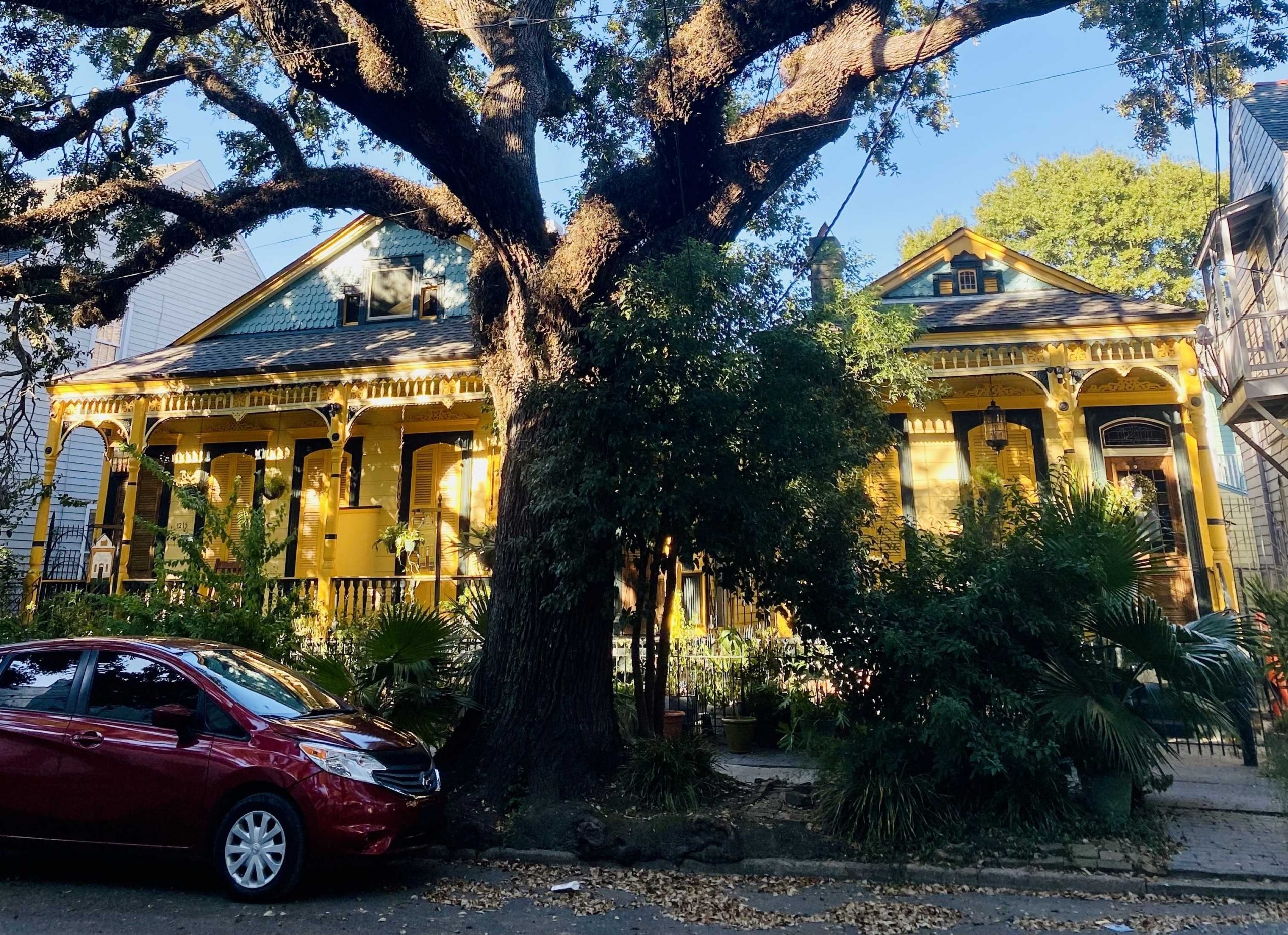 新奥尔良的家庭都有一棵树